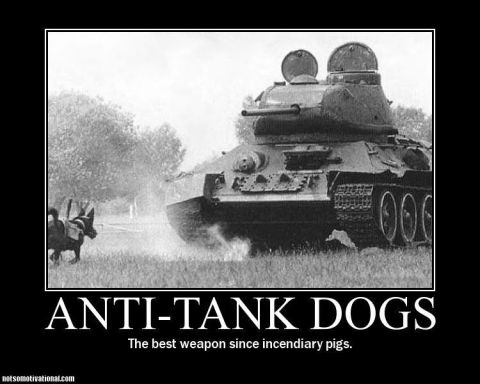 1990 Ford Bronco - This image is a meme titled 'Anti-Tank Dogs' depicting a tank and two dogs.