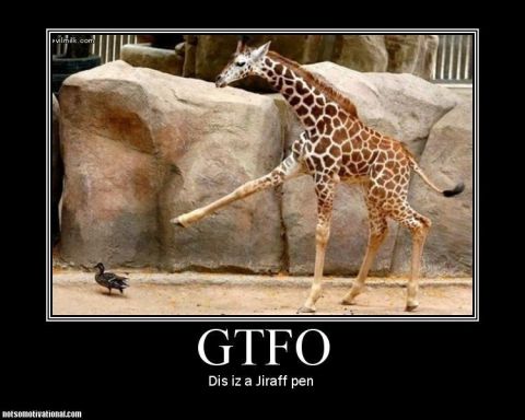 1990 Ford Bronco - A giraffe appears to be shooing away a duck with its leg.