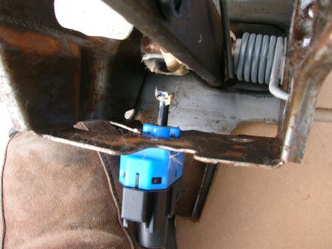1998 Ford Crown Victoria - Close-up of a brake light switch assembly, showing a blue plastic component and a metal spring.