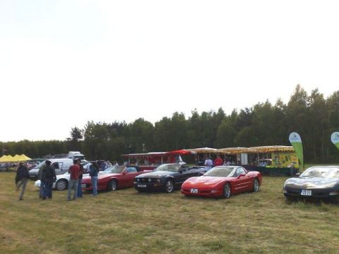 1991 Ford LTD Crown Victoria - A gathering of sports cars on a field, with tents and trees visible in the distance.