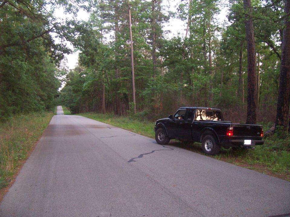 Black pickup truck parked on the shoulder of a paved road through a wooded area