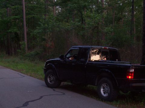 1979 Ford F-100 photo
