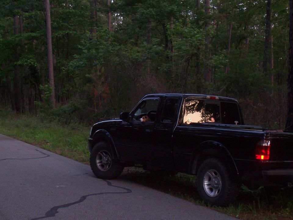 Black pickup truck parked on the side of a road with trees in the background. A dog is visible in the driver's seat