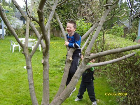 1989 Ford Bronco - Two young boys are climbing a tree in a backyard. The boy on the left is wearing a blue and black shirt and black pants, while the boy on t…