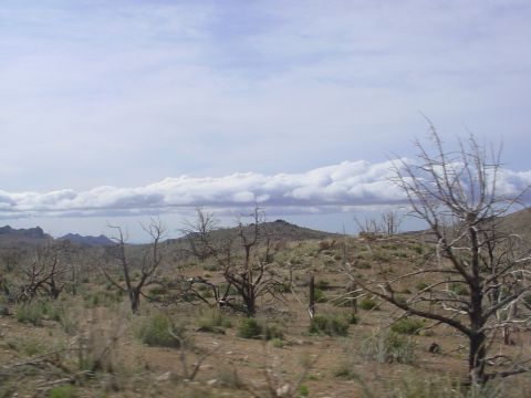 1994 Ford Bronco - A desolate desert scene with sparse vegetation and dramatic clouds overhead.