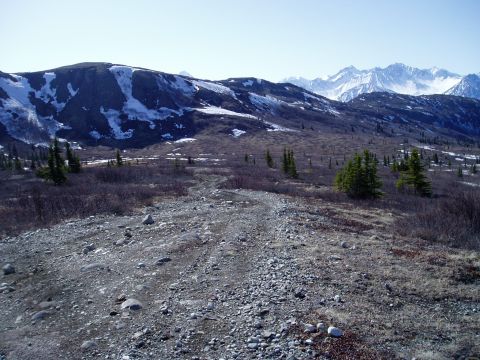2000 Ford E350 - A wide, rocky dirt road winds through a sparsely vegetated mountain landscape with snow-capped peaks in the distance under a clear blue sky.
