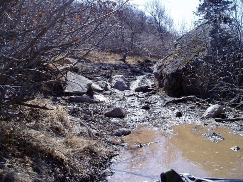 2000 Ford E350 - A muddy and rocky off-road trail with trees and large boulders. A large puddle of muddy water is in the foreground.