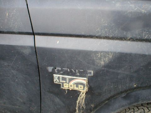 1983 Ford Bronco - Close-up of a dark-colored Ford Bronco's side panel, showing the XLT Gold trim badge.