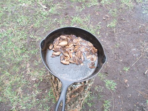 1990 Ford Bronco - Morel mushrooms being fried in a cast iron skillet on a log.