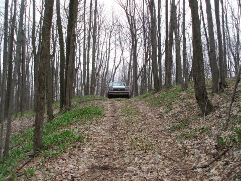 1990 Ford Bronco - 1990 Ford Bronco ascends a wooded dirt path.