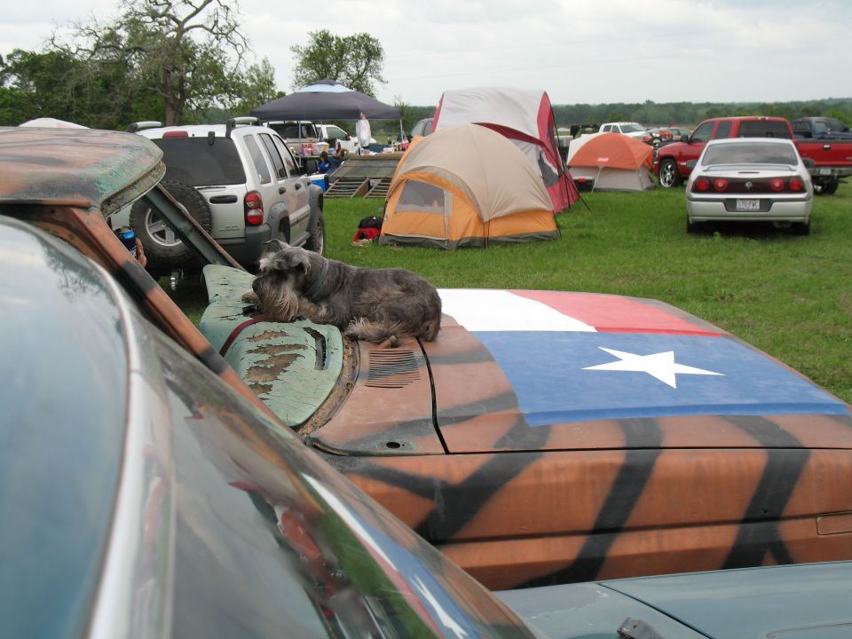 Max relaxing on Skittles's dash/hood