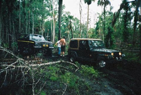 1995 Ford Bronco - Allen crossing log