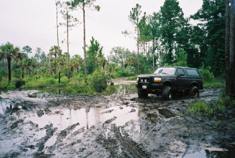 1995 Ford Bronco - Gooey mud