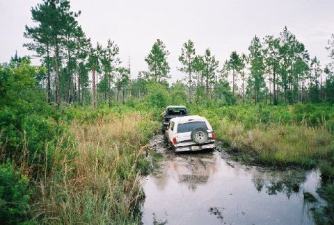 1995 Ford Bronco - Jeremy following the K5