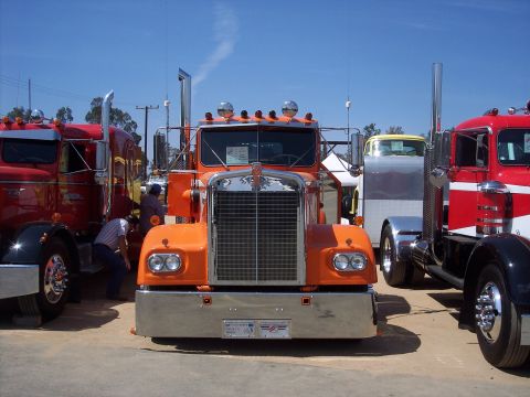 1981 Kenworth W900A - Three semi-trucks are parked side-by-side under a clear blue sky.