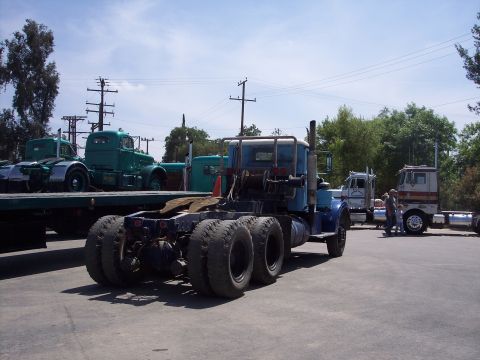 1981 Kenworth W900A - Several semi-truck tractors are parked in an outdoor lot on a sunny day.