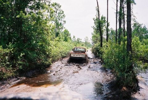 1995 Ford Bronco - Joe playin 1