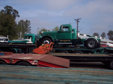1981 Kenworth W900A - Multiple green semi-trucks are loaded onto trailers, with one truck displaying company identification.