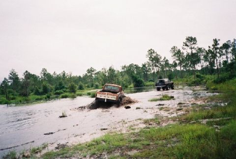 1995 Ford Bronco - Romp around the lake 1