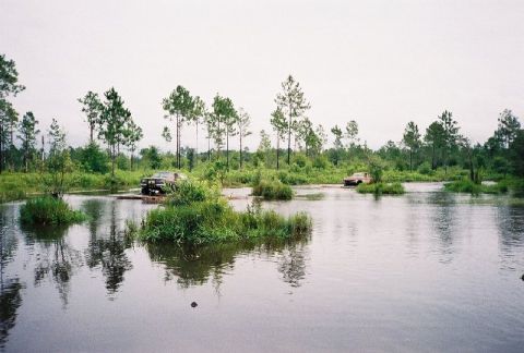 1995 Ford Bronco - Romp around the lake 2