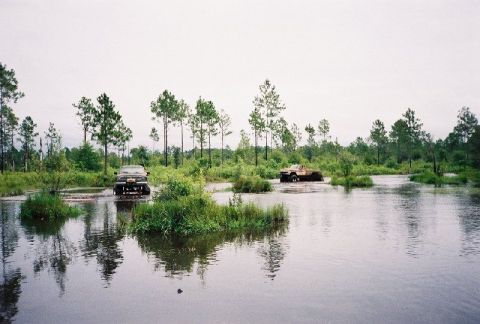 1995 Ford Bronco - Romp around the lake 3