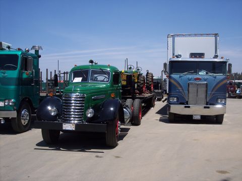 1981 Kenworth W900A - Multiple vintage trucks and a tractor are parked outdoors on a sunny day.