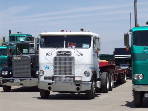 1981 Kenworth W900A - A lineup of trucks, including a white Freightliner COE, are parked under a clear sky. One truck has a 'For Sale' sign in the window.