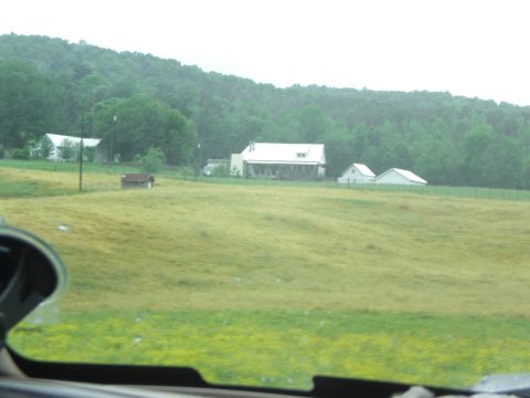 1989 Ford Bronco - View of a rural property with houses and trees, seen from inside a vehicle.