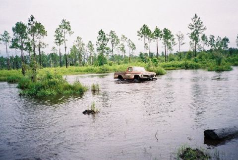 1995 Ford Bronco - Romp around the lake 5