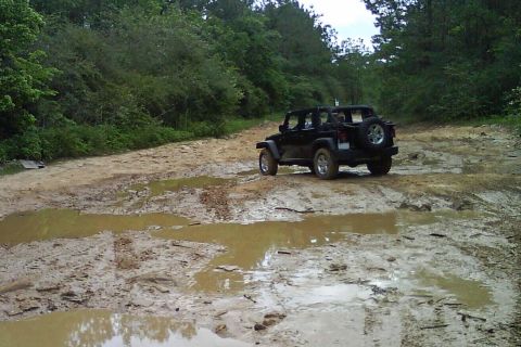 2008 Jeep Wrangler - A black 2008 Jeep Wrangler navigates a challenging muddy trail, its off-road capabilities.