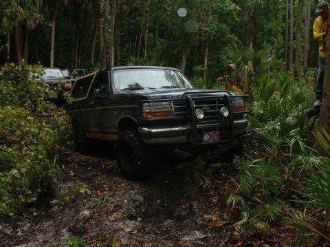 1992 Ford Bronco - Jon trying to make it over the tree on Stump Trail, this is where the damage was done.