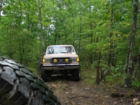 1989 Ford Bronco - A 1989 Ford Bronco navigates a wooded trail, with a large tire visible in the foreground.
