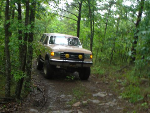 1989 Ford Bronco - Tan 1989 Ford Bronco navigates a wet, wooded path with large tires.