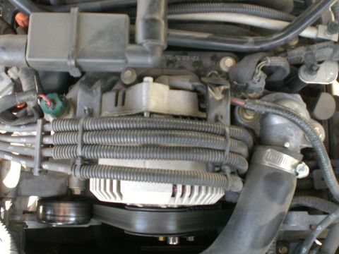 2000 Mercury Grand Marquis - Close-up view of engine components, including the alternator and various hoses and wiring harnesses.