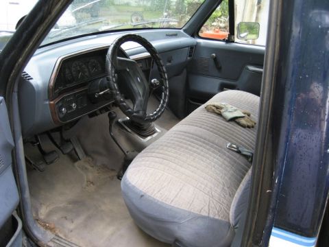 1989 Ford F-150 photo