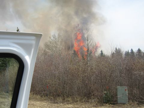 1996 Dodge 2500 - A wildfire rages in a wooded area, with flames and smoke visible against the sky.