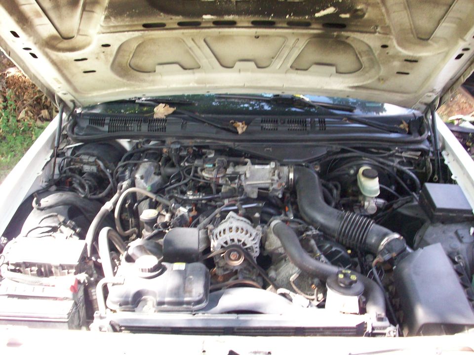 Engine bay of a white car with hood open showing V8 engine and accessories