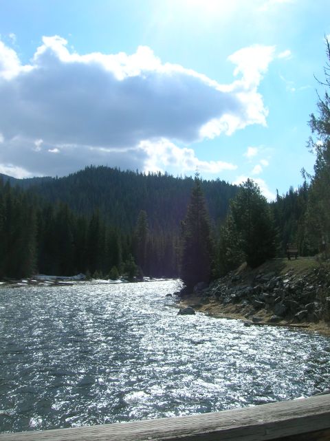 1996 Ford Bronco - A scenic view of a river flowing through a forest with mountains in the background.