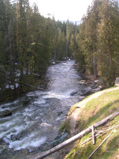 1996 Ford Bronco - A river winds through a dense forest, with snow patches visible on the banks.
