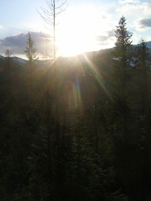 1996 Ford Bronco - The sun's rays break through the trees and clouds over a mountainous landscape.