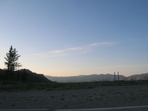 1996 Ford Bronco - A wide view of a natural landscape with rolling hills and a solitary tree against a vast sky.