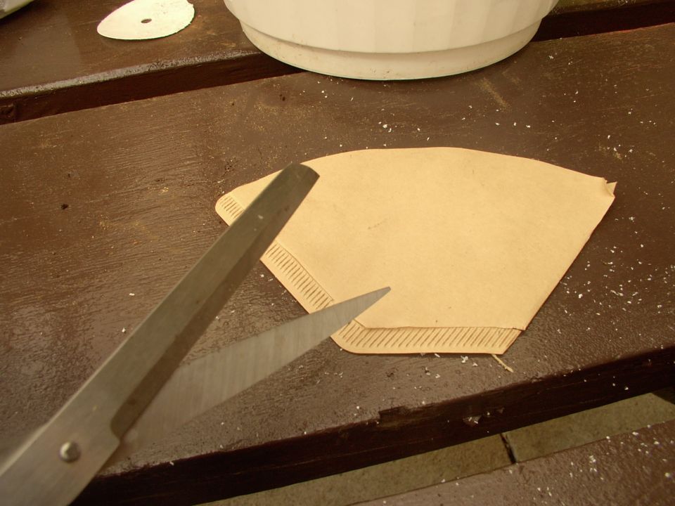 Slice the #2 coffee filters in half to help retain the small plants until their root system takes hold.