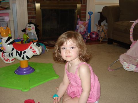 2000 Ford Crown Victoria - A young child in a pink dress sits on the floor surrounded by toys, including a zebra-shaped ride-on toy.