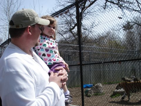 2000 Ford Crown Victoria - A father and daughter observe a tiger at the zoo.