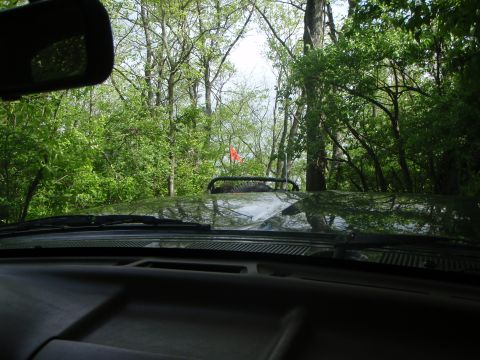 1996 Ford Bronco - View from inside a vehicle driving through a wooded area, with an orange flag marking a trail.