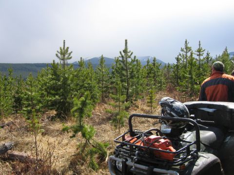 2008 Honda RANCHER photo
