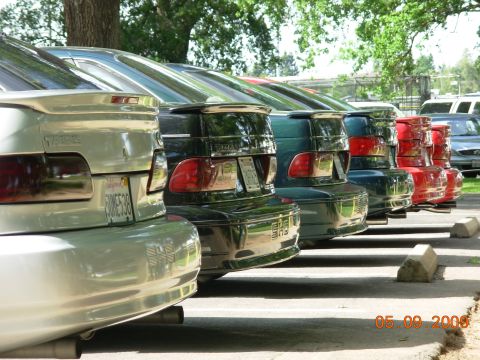 1995 Ford Taurus - A line of Ford Taurus cars, including a 1995 model, are parked in a lot.