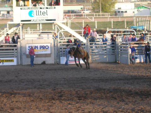 1996 Ford Bronco - A rodeo event is underway with a rider attempting to stay mounted on a bucking horse.
