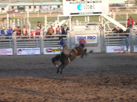 1996 Ford Bronco - A rodeo event with a horse and rider in action.