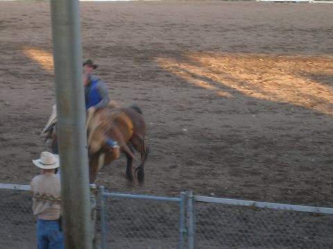 1996 Ford Bronco - A rodeo event unfolds with a rider on a bucking animal and a spectator watching from the side.